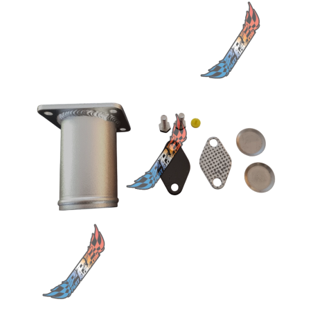 Kit Suppression EGR DELETE BMW