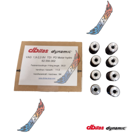 Kit Ressorts Soupapes Coupelles 1.9 TDI PD DBILAS