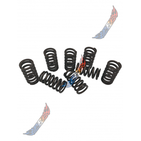 RESSORTS SOUPAPES DURS 2.0 2l HDI