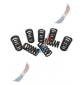 Ressorts Soupapes Renforcées 2.0 2l HDI Ressorts Soupapes Renforcées 2.0 2l HDI